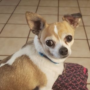 Meet your Posher, Catherine